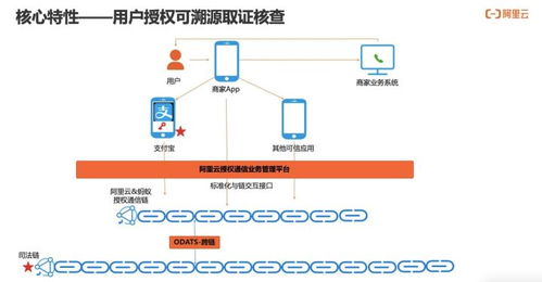 如何實現用戶通信授權的可信 可知 可追溯 通信授權服務技術解讀